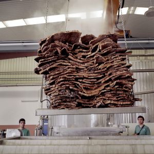 Cork industry