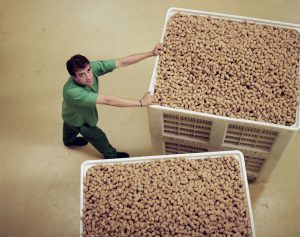 Cork industry