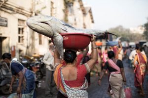Colaba Sassoon Dock fish market