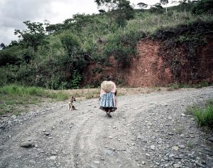 Coca leaves worker - Coroico Bolivia