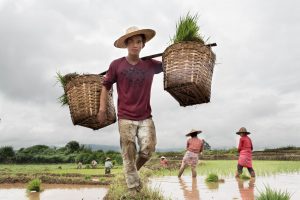 A walk in a changing Burma
