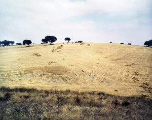 The hills of Alentajo - Portugal