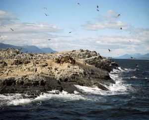 Begali channel, Usuhaia - Argentina