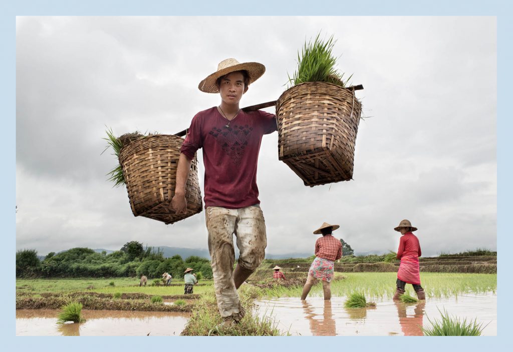 A walk in a changing Burma