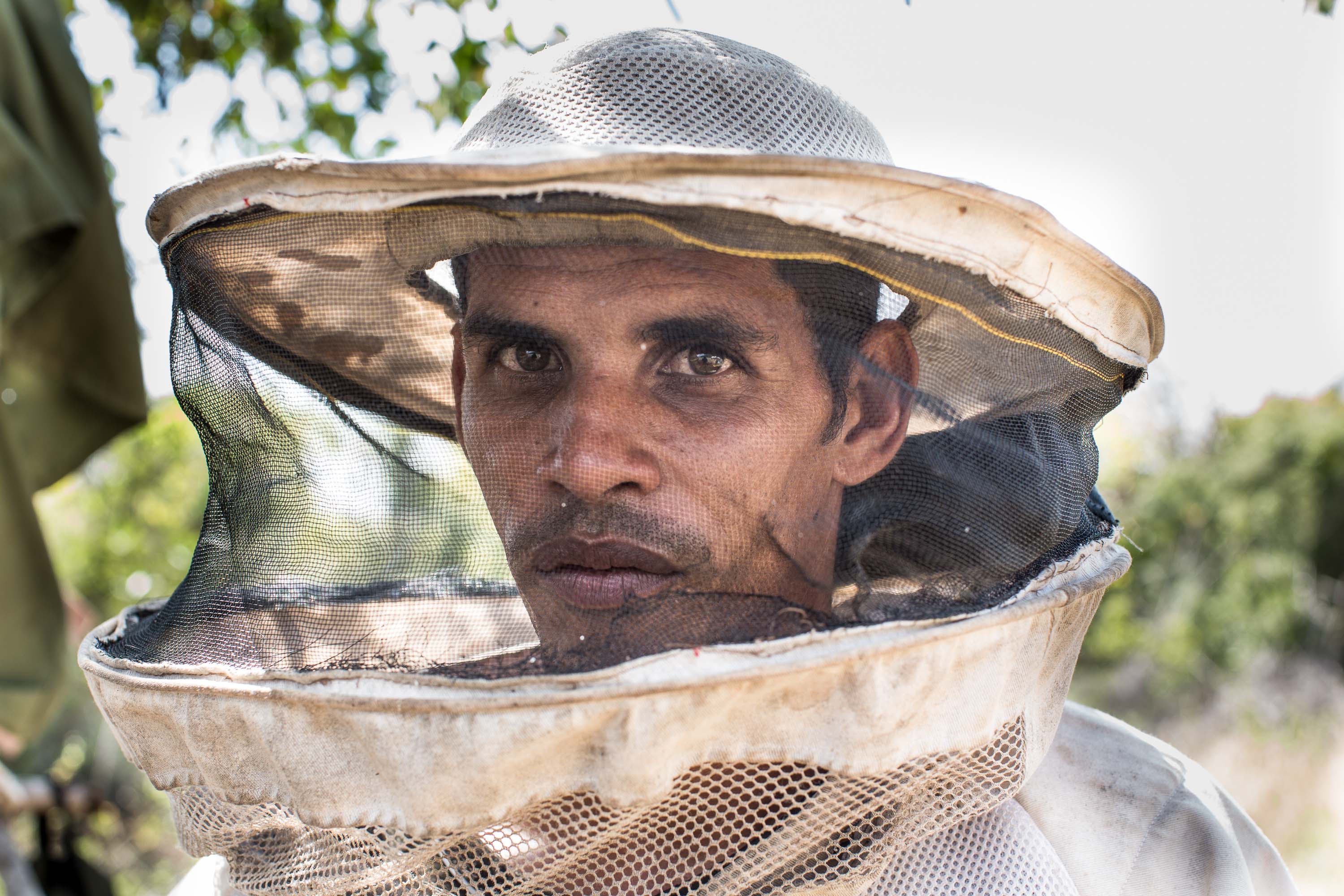 Honey producer in Guantamano Cuba
